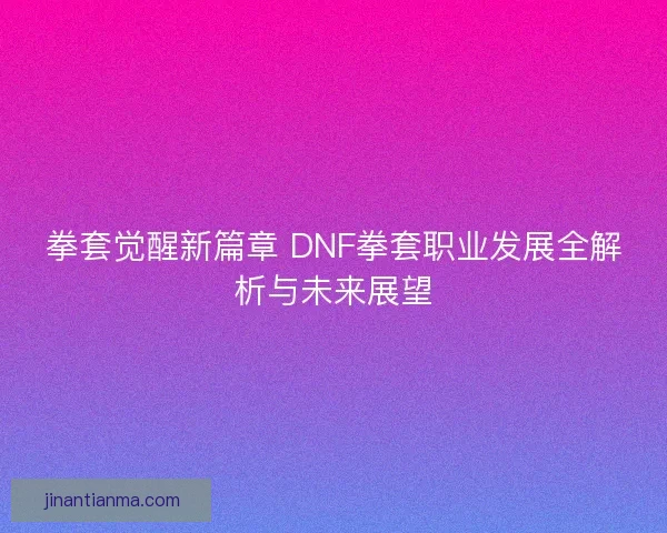 拳套觉醒新篇章 DNF拳套职业发展全解析与未来展望