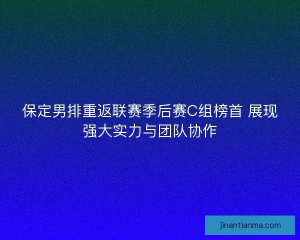 保定男排重返联赛季后赛C组榜首 展现强大实力与团队协作